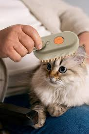 Buharlı Kedi Tarağı | Masaj Etkili, Tüy Toplayan, Kolay Temizlenebilir