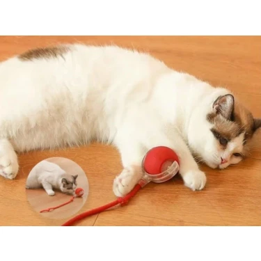 Otomatik Hareketli Top Kedi Oyuncağı – USB Şarjlı, Akıllı ve Eğlenceli